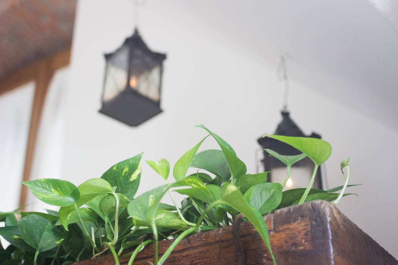 Abbaino Bed & Breakfast Massa  Luaran gambar